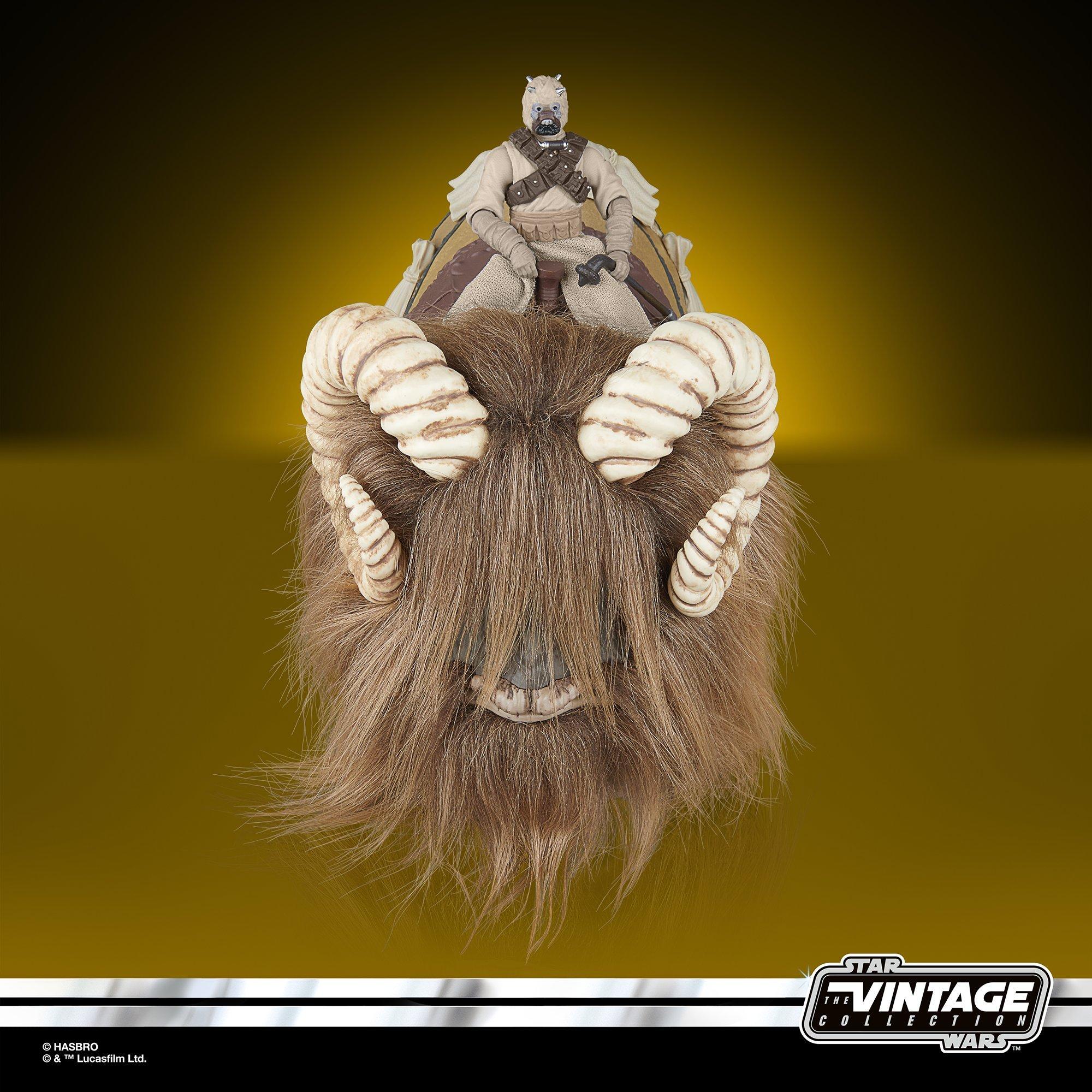 G13005L00.jpg